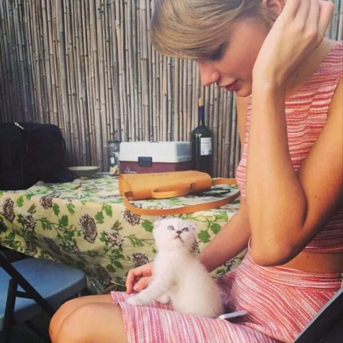 Taylor Swift and her cat