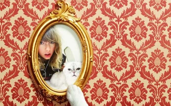 Taylor Swift and her cat